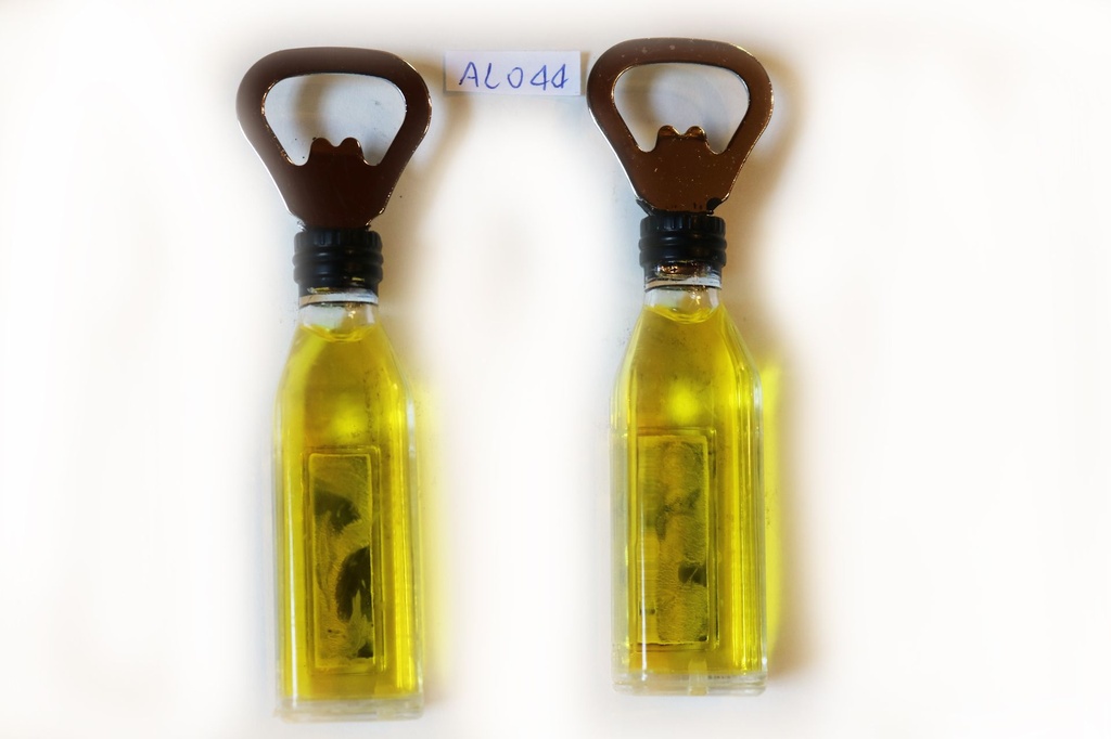 MAGNETE PLAS BOTT C/APRIBOTT DA PERS 12.5*1.8 CM 