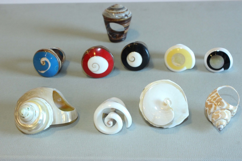 ANELLI  CONCHIGLIA FORME COLORI ASS. 