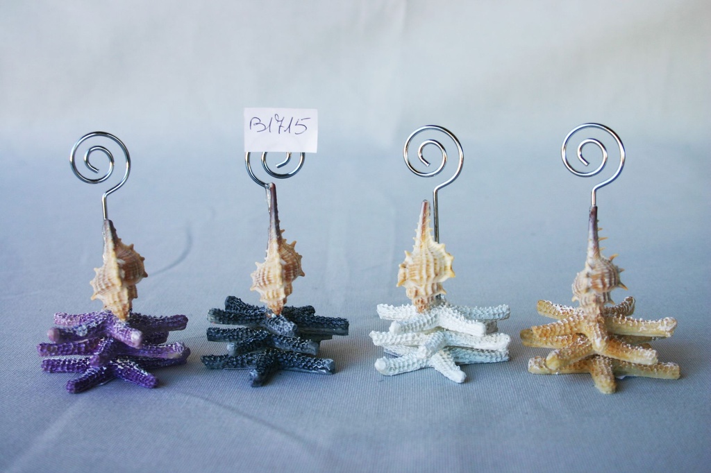 PORTABIGLIETTINI RESINA C/STELLA 4 COL.ASS. 