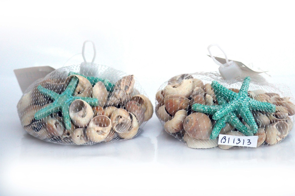 SACCHETTI CON CONCHIGLIE CM 10*10*4 