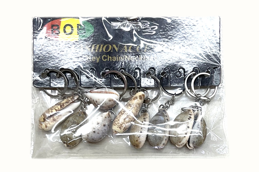 PORTACHIAVE C/SOGGETTO PLASTICA CONF. 12 PZ.