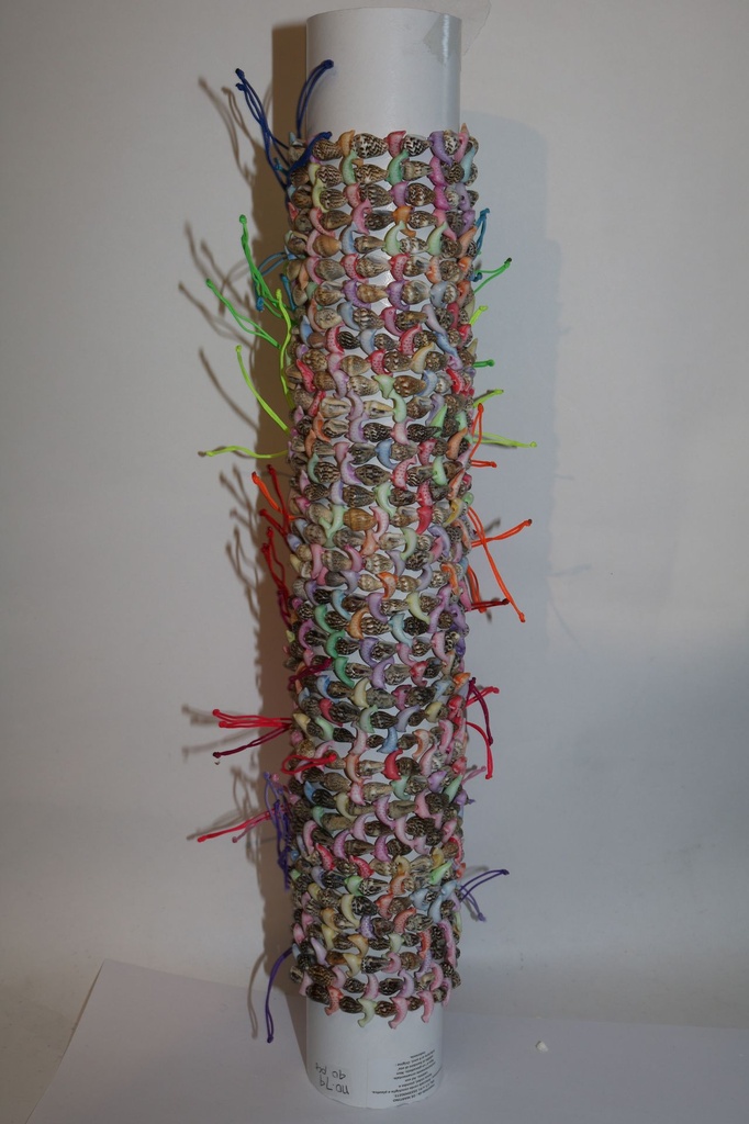 BRACCIALE TUBO DELFINOE  CONCHIGLIE 