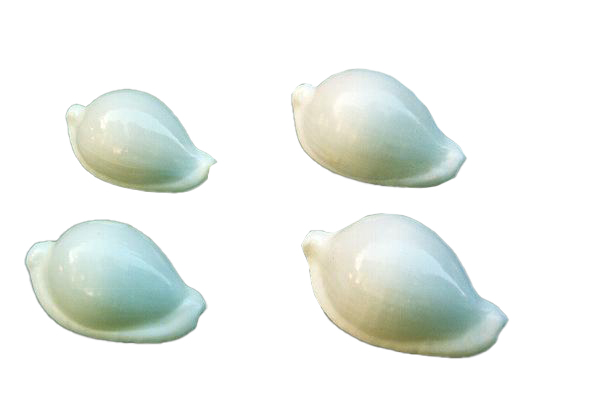 OVULA OVUM GRANDE CM 8 