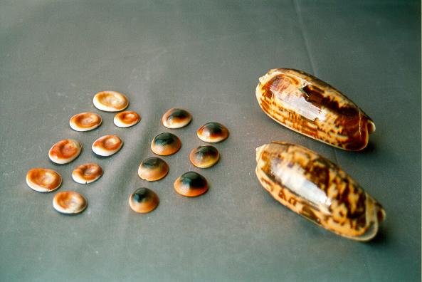 OCCHI DI SANTA LUCIA CM 2-2.5 