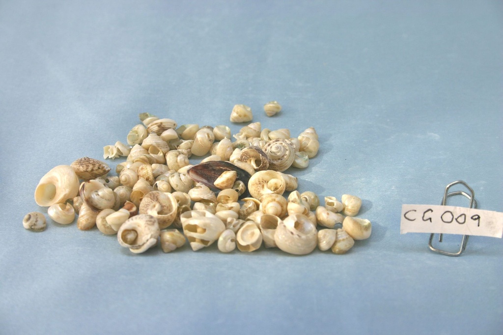 CARAGOLLI  CM 0.8-1.2 