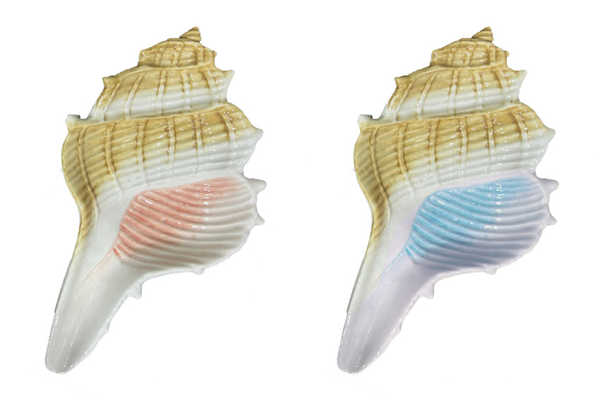 POSACENERE CONCHIGLIA CERAMICA 25*15.5*3.3 CM 2 COL ASS