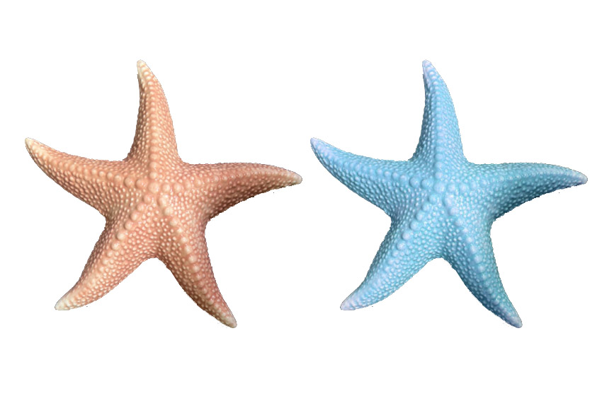 STELLA MARINA CERAMICA 18.8*18.2*3.1 CM 2 COL ASS