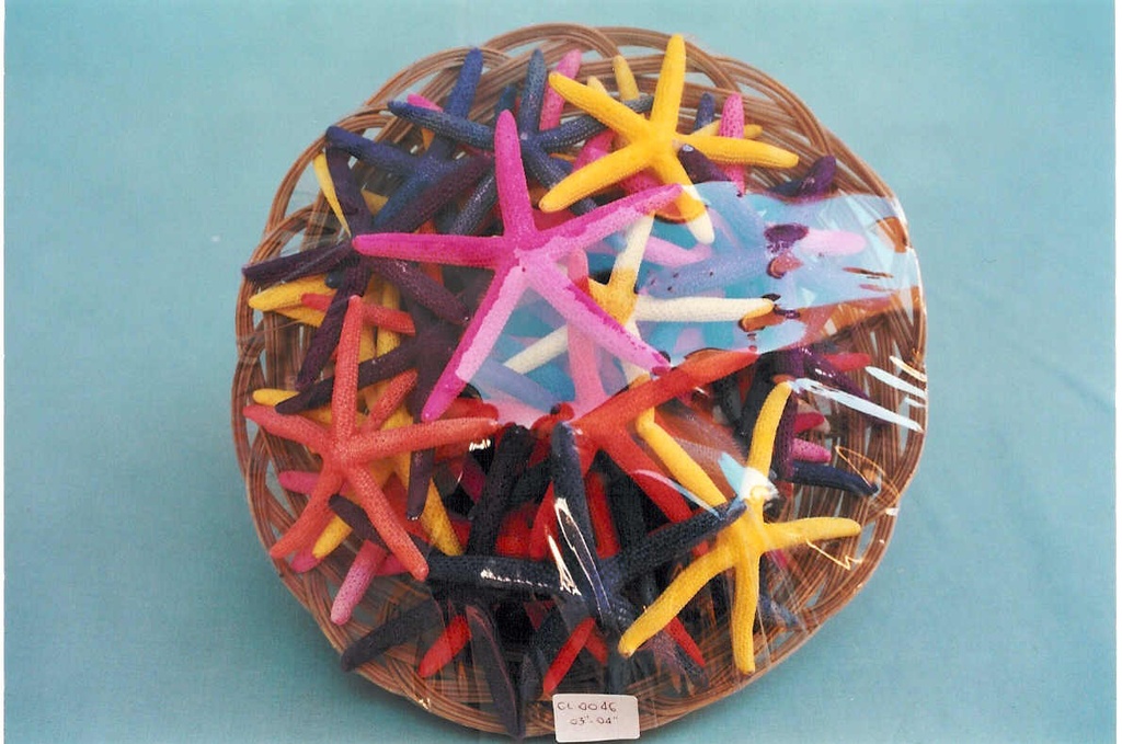 CESTO STELLE MARINE PUNTA FINE 3-4 COL CM 8-10 