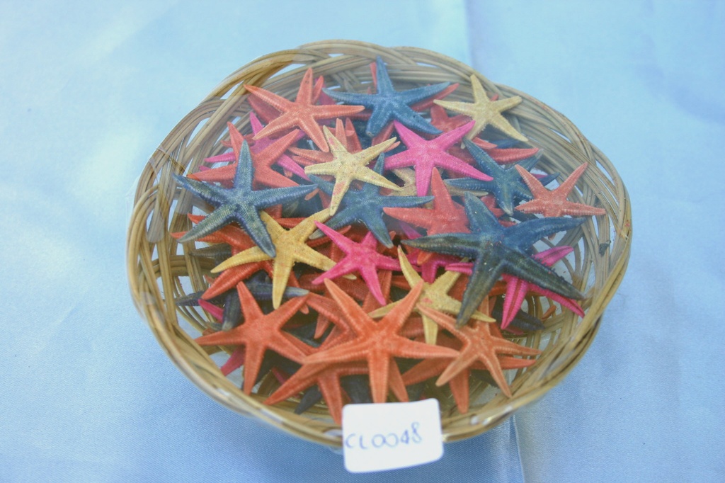 CESTO STELLE MARINE 1,5 COL ASS(100 PCS) CM 3-3,5 