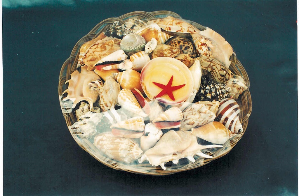 CESTINO CON CONCHIGLIE 10" DIAM CM 25 