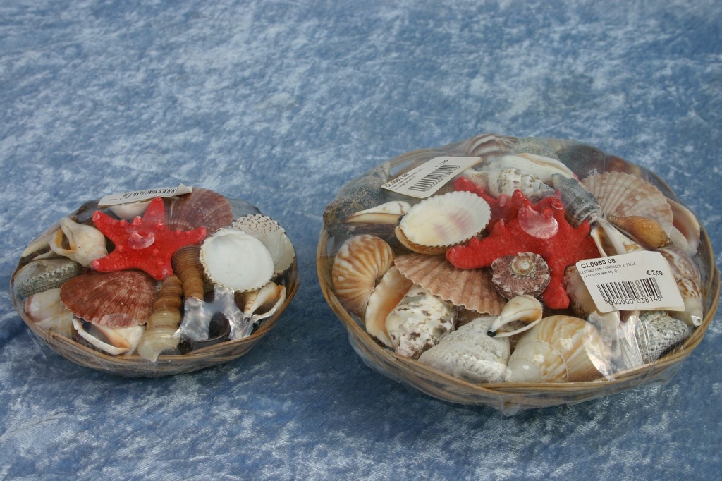 CESTINO CON CONCHIGLIE E STELLA 8" DIAM CM 20 