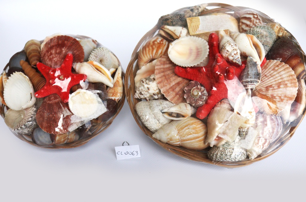 CESTINO CONCHIGLIA 12" C/STELLA LONG.ROSSA 5" CM30 
