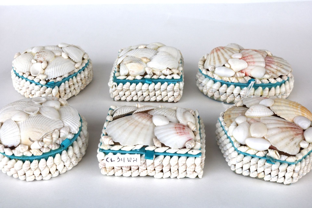 SCATOLA CUORE CONCH. BIANCHE MEDIE C/GLITTER CM 9. 