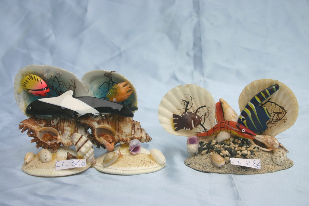 ACQUARIO SU MUREX TORREFACTUS 