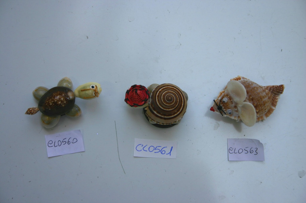 TARTARUGA CAPUT CON CALAMITA CM 5 