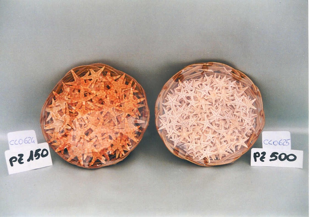 CESTINO c/500 STELLE MARINE 1" BELOW DIAM CM 2.5 