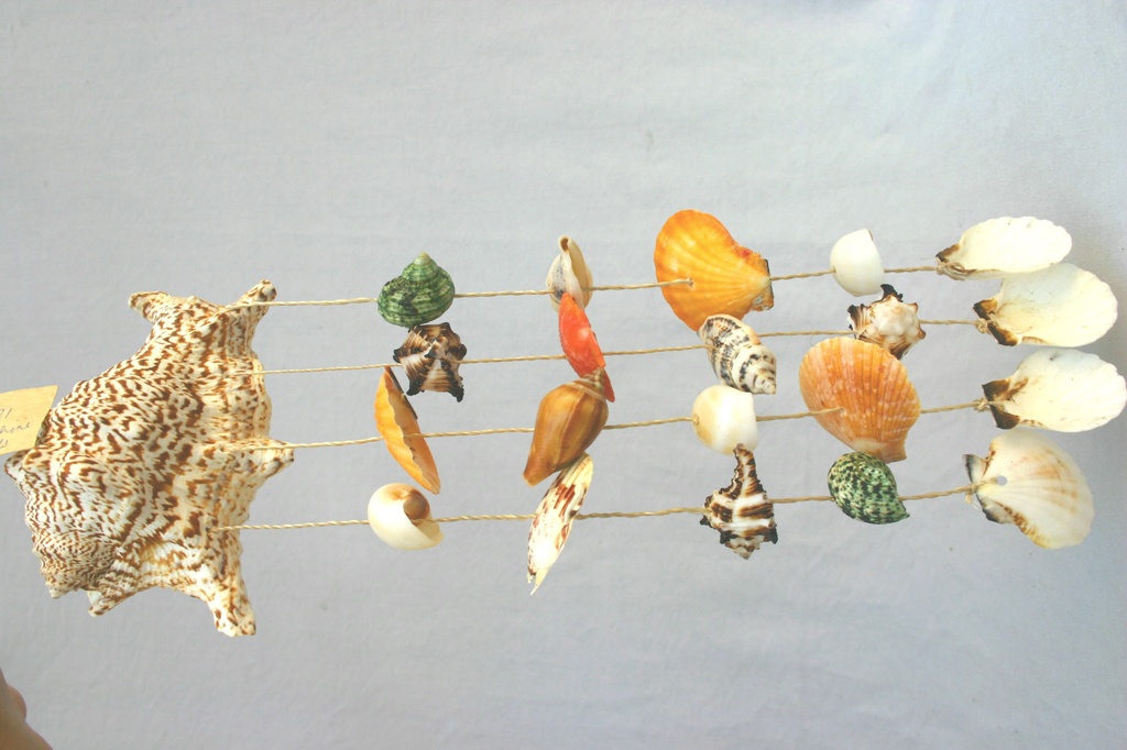 SCACCIAPENSIERI LAMBIS CHIRAGRA c/CONCH. 