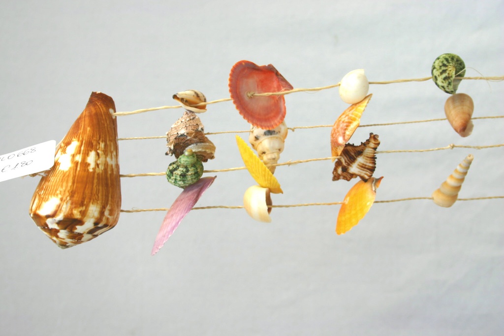 SCACCIAPENSIERI CONUS c/CONCHIGLIE CM 35 