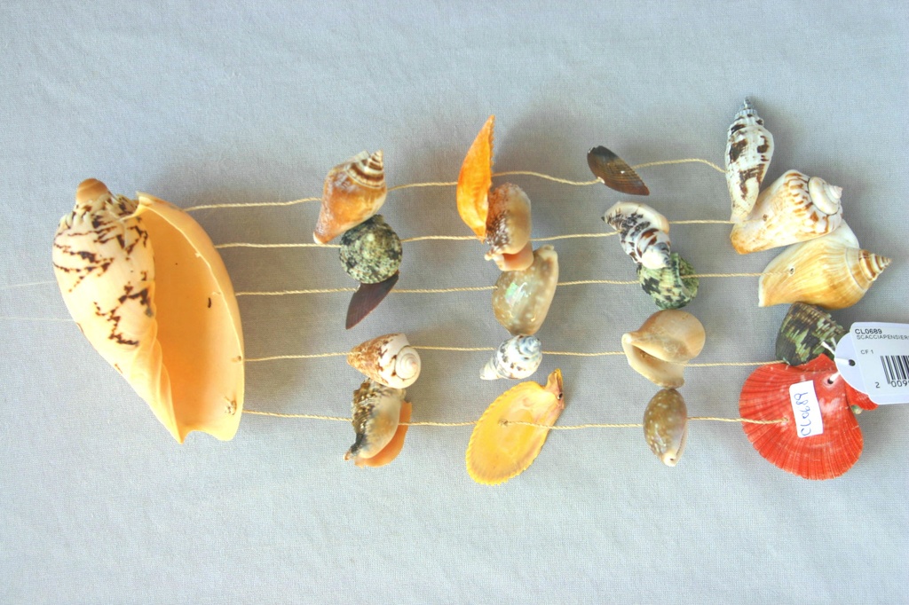 SCACCIAPENSIERI MELO c/CONCHIGLIE ASS. CM 30 