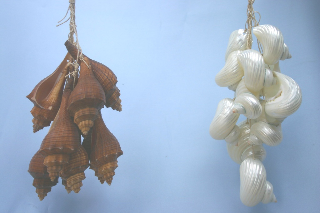 GRAPPOLO CORDA c/BROWN FUSUS CM 30 