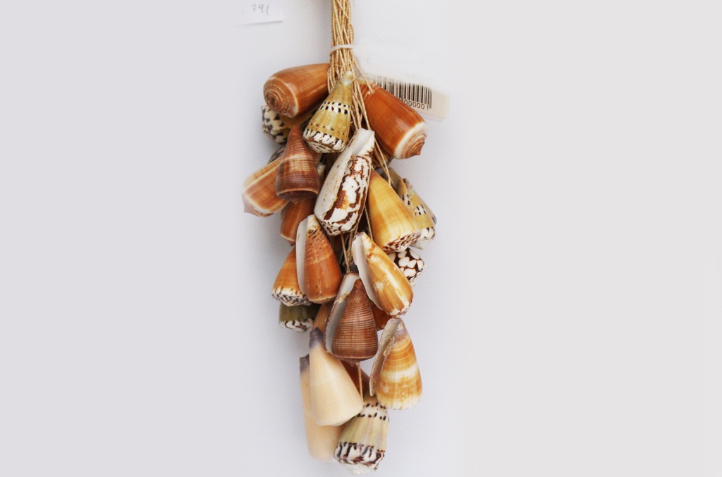 GRAPPOLO CORDA c/CONI CM 26 