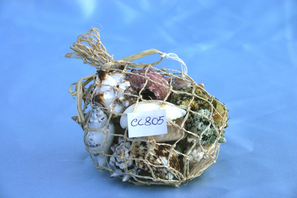 SACCHETTI CONCHIGLIA CORDA GR.200 