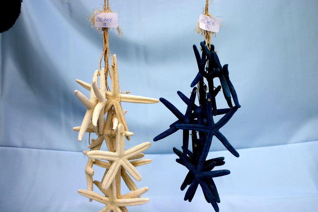 CORDA c/12 STELLE MARINE PUNTA FINE BLU CM 36 