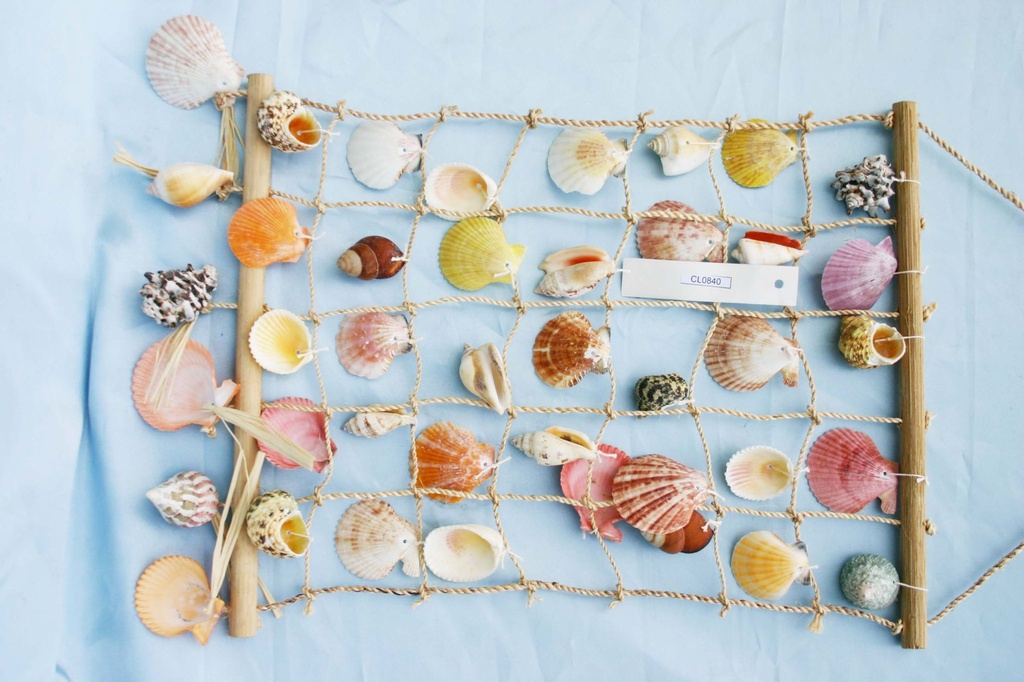 RETE c/CONCHIGLIE BIANCHE 48x36cm 