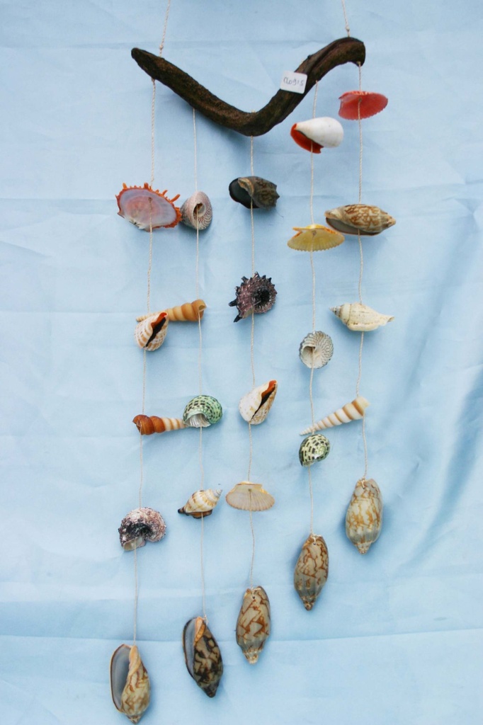 SCACCIAPENS.RAMO LEGNO C/CONCH.ASS.5 FILI H.55 