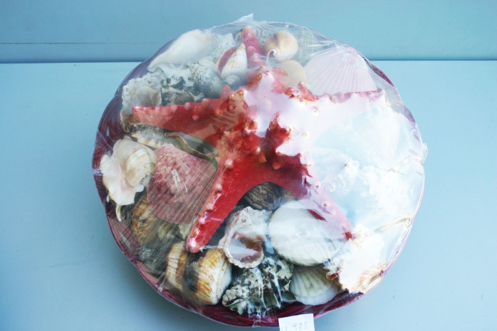 CESTINO COL.12" C/CONC+STELLA LONG COL 7-8" CM30 