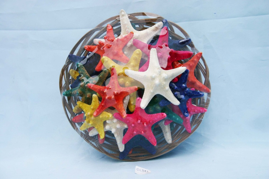 CESTINO 8" C/24 STELLE LONG 2-3" COL ASS CM 10 