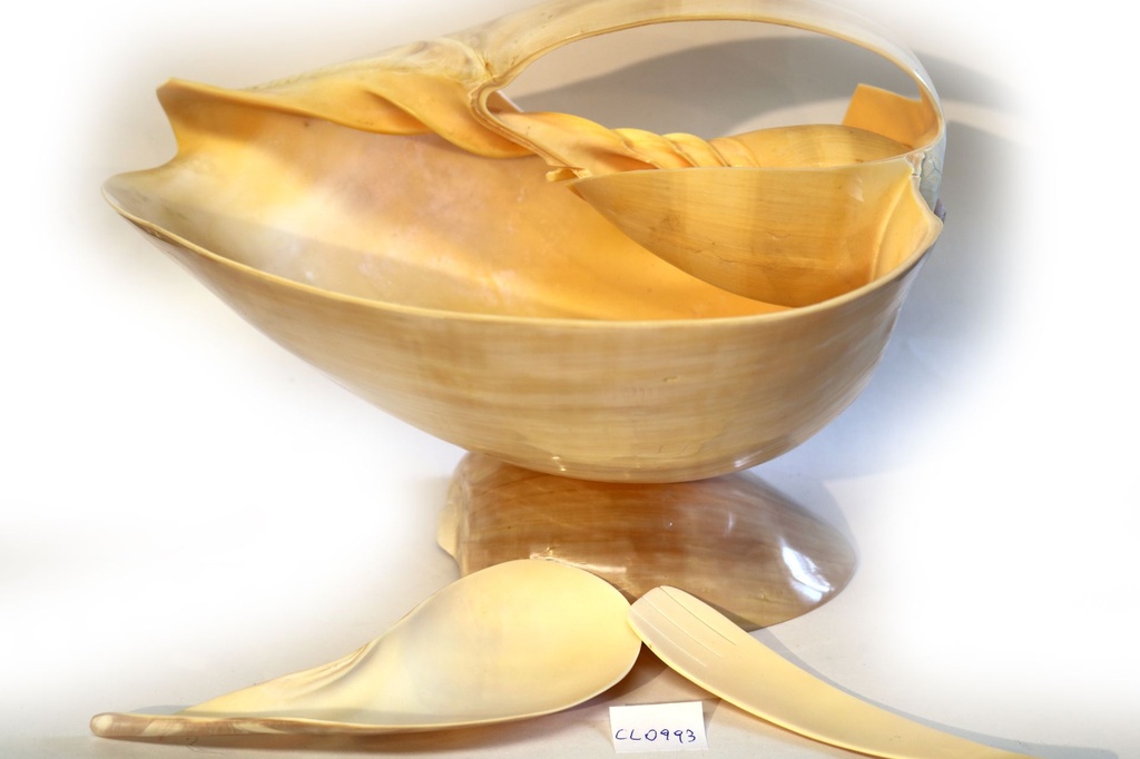 MELO DIADEMA PORTAFRUTTA 