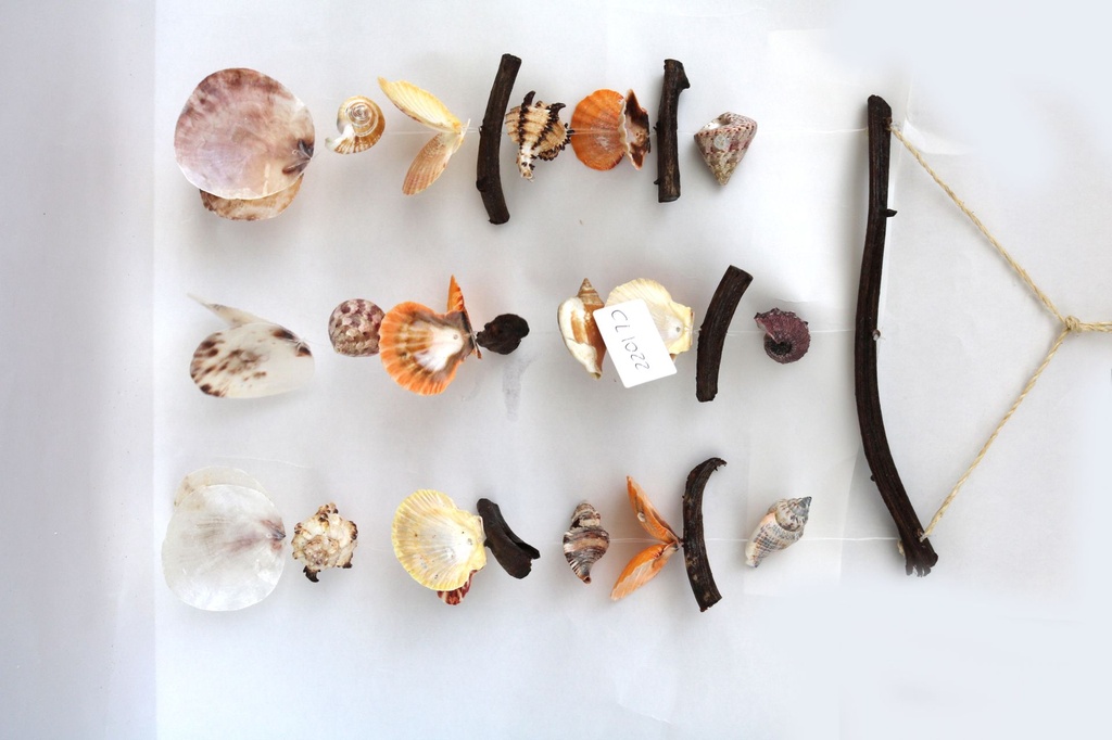 SCACCIAPENSIERI C/LEGNETTI E CONCHIGLIE CM 48*22 