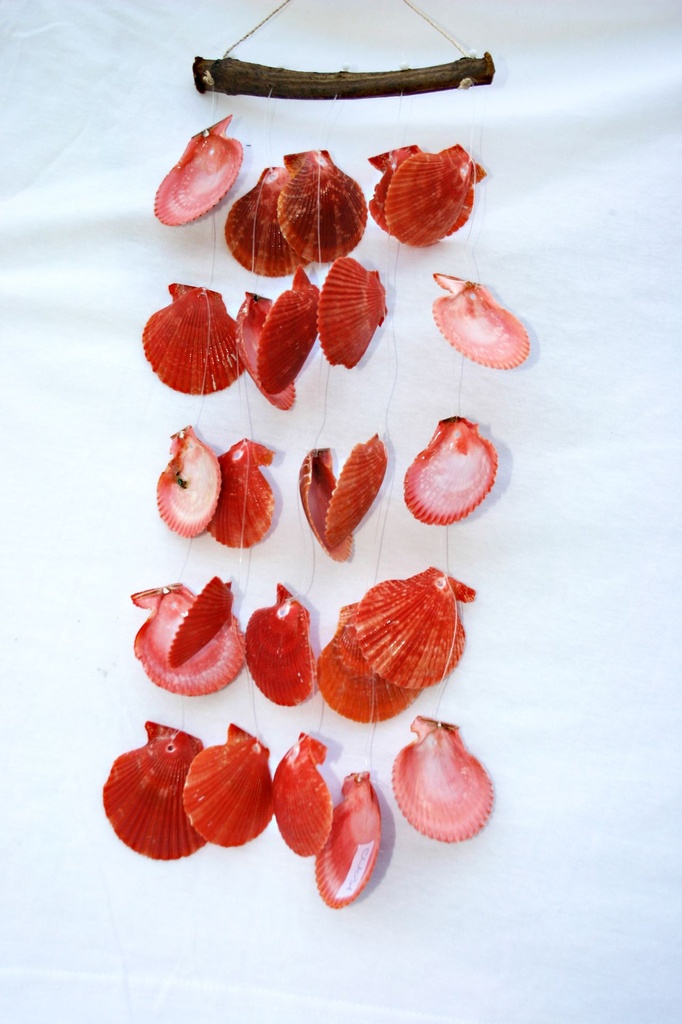 SCACCIPENSIERI LEGNETTO E PECTEN 