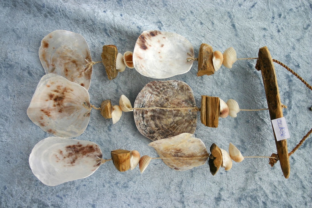 SCACCIAP LEGNETTI C/3 FILI PLACUNA+COCKLE CM 30*20 