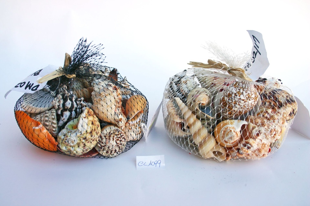 SACCHETTO CONCH NYLON 350GR 2 COL DIAM CM 12 