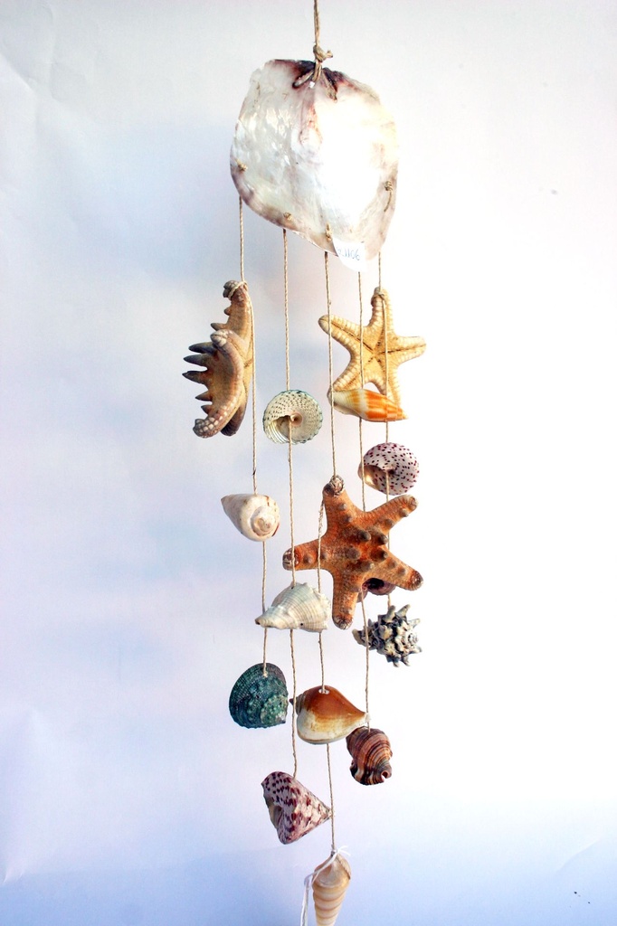 CORDA D'APP PLACUNA 5 FILE CONC+STELLE MARINE CM48 