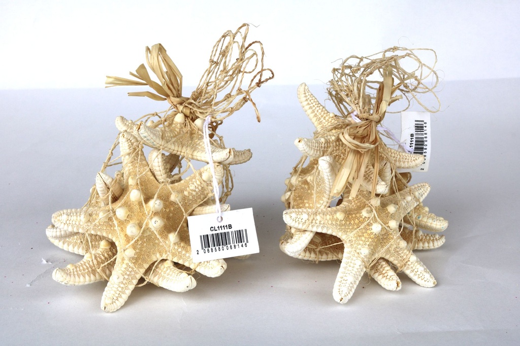 RETE CORDA C/RAFFIA+5 STELLE LONG BIANCHE 16*14 