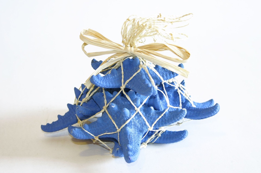 RETE CORDA C/RAFFIA+5 STELLE LONG BLU 16*14 