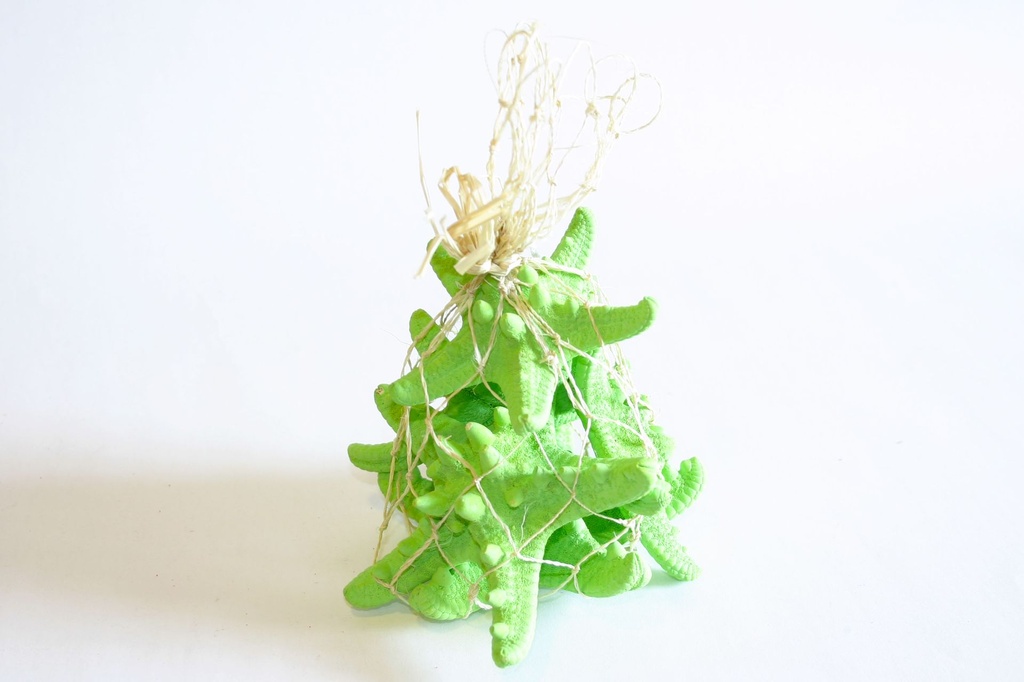 RETE CORDA C/RAFFIA+5 STELLE LONG 16*14 