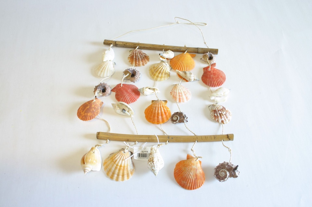 RETE CORDA E 2 LEGNETTI C/5 GILE CONCH ASS 21*35 