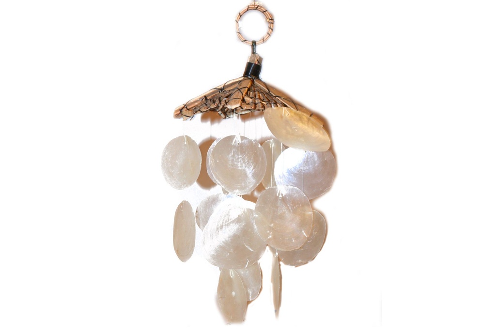 SCACCIAPENSIERI CASETTA LEGNO C/CAPIZ 