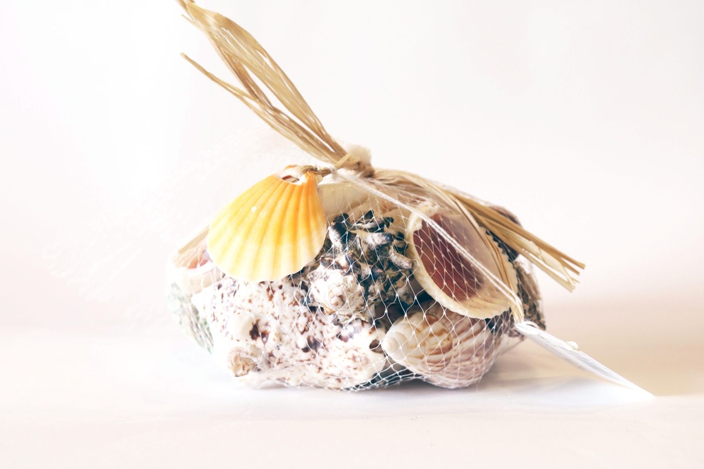 SACCHETTO NYLON C/CONCH/RAFFIA/LEGNETTI GR 500 