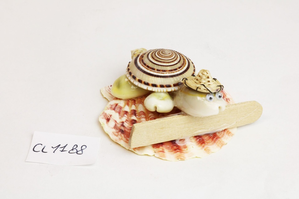 TARTARUGA CONCH SUNDIAL SU BASE PECTEN+TARTA LEGNO 