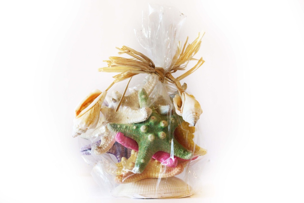 CF. NYLON E RAFIA 7 STELLE LONG COL ASS B/CODACKIA 