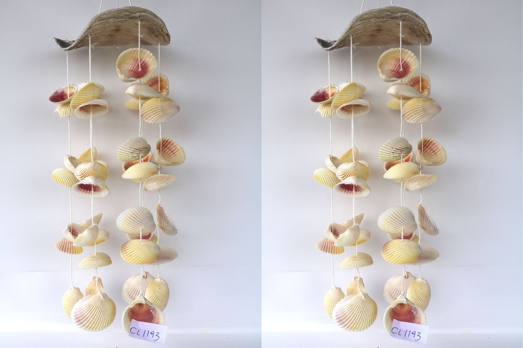 SCACCIAPENSIERI PLACUNA 11" C/6 FILE COCKLES 