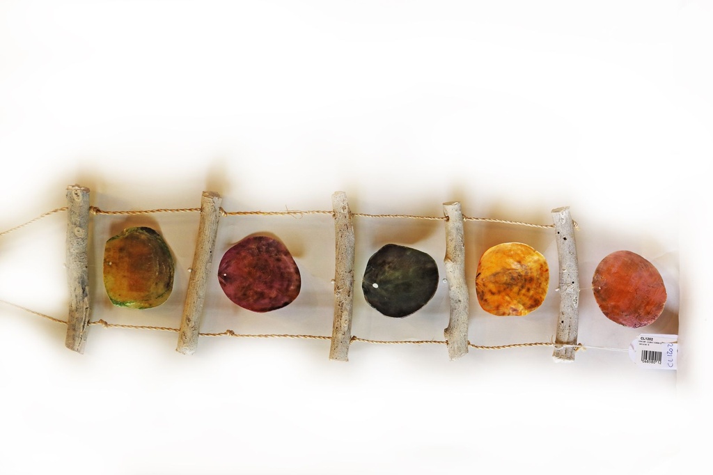 SCACCIAP. LEGNI E CORDA C/5 PLACUNE IN FILA COL AS 