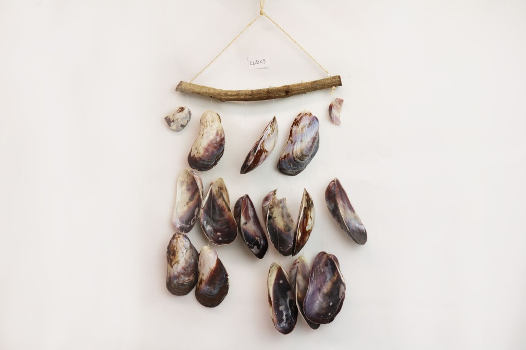 SCACCIAP. LEGNO CURVO C/6 FILE PURPLE MUSSEL 