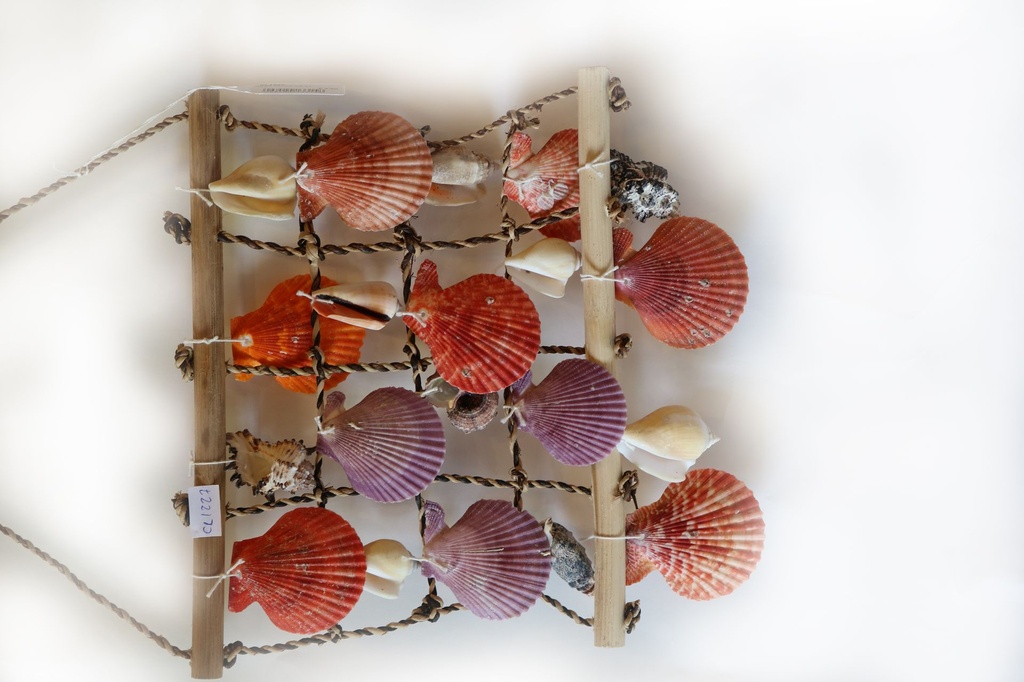 RETE CON CONCHIGLIE PIENA 4*4 