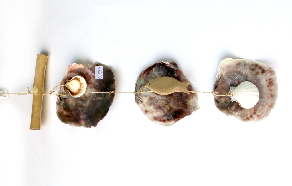 CORDA D'APP CON LEGNETTO E 3 PLACUNE VERT E CONCH 